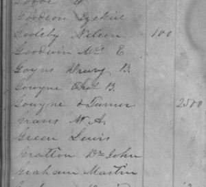 1845 Lowndes Co Miss tax rept Drury B Goyne and Thos Goyne