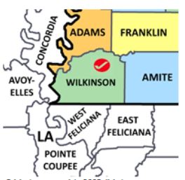 Wilkinson County MS county map