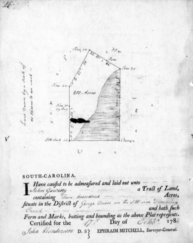 1784 Oct 17 survey for 100 acres for John Gowing on Drowning Creek in Georgetown Dist SC